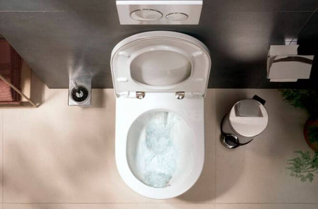 HANSGROHE Elupura Original S Miska Wisząca Wc 540 60142450